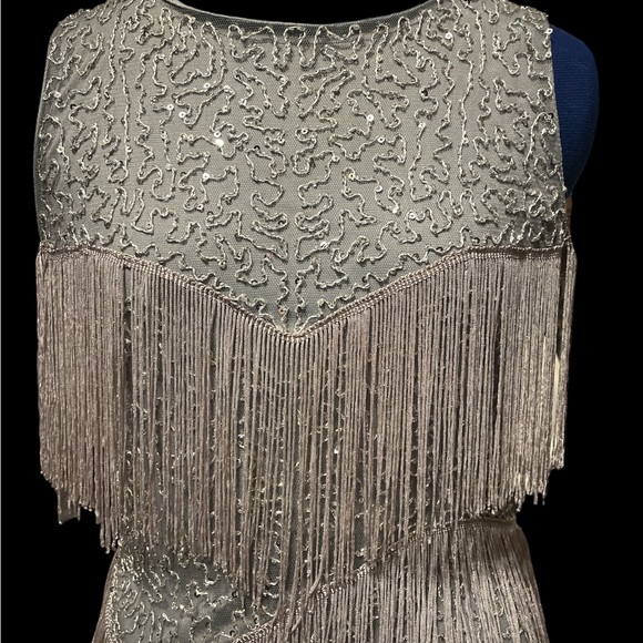 Vintage inspired dress from Babeyond. NWT silver dress only! - Picture 4 of 10